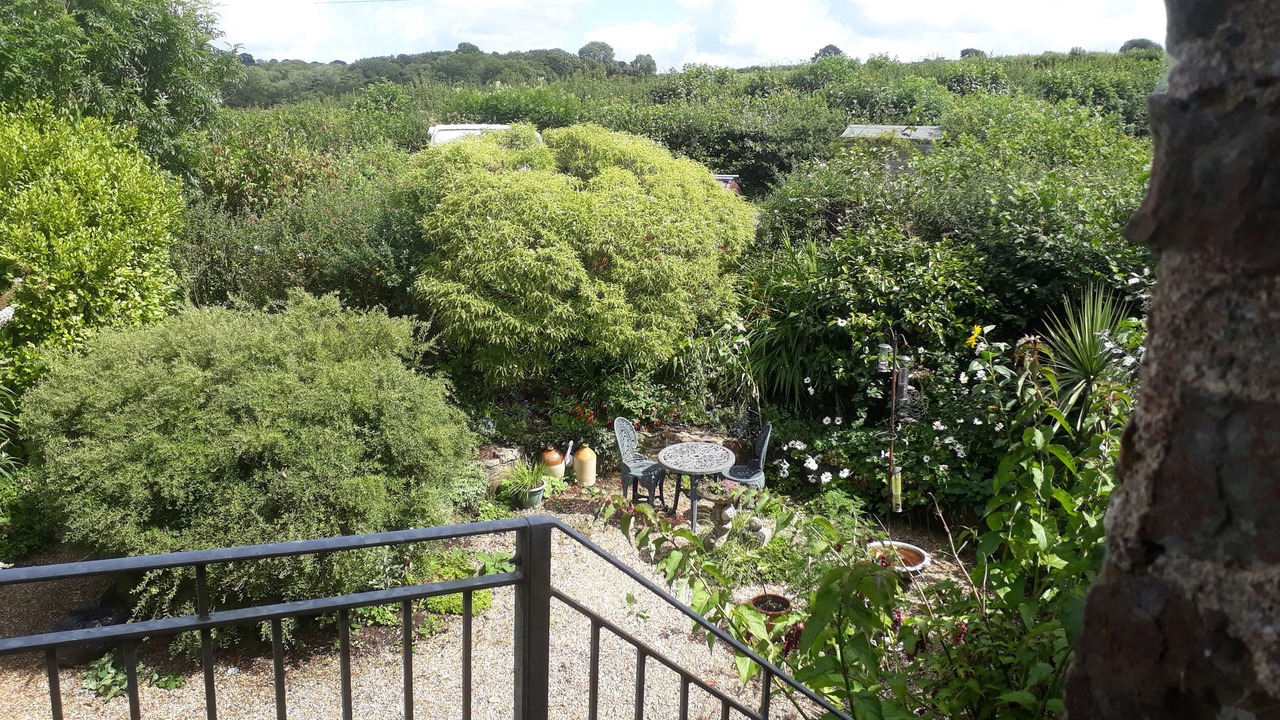 Photo of Outdoor in Brazzacott
