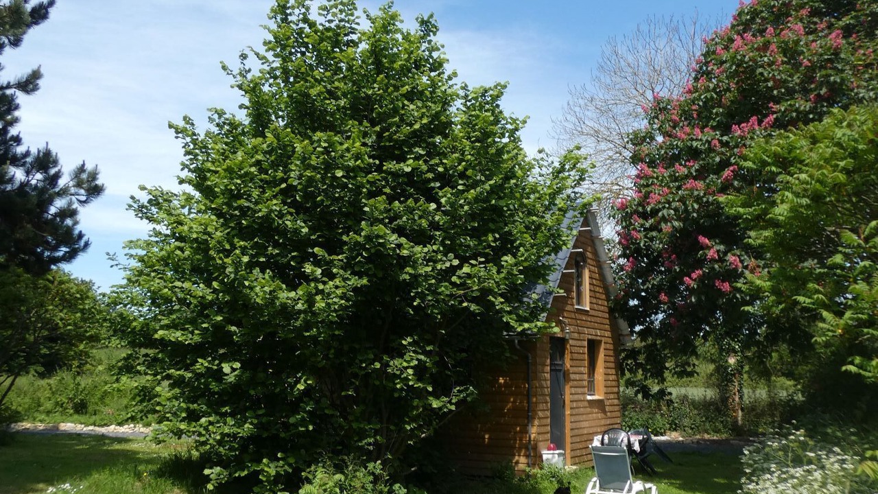 Photo of Outdoor in Barbeville
