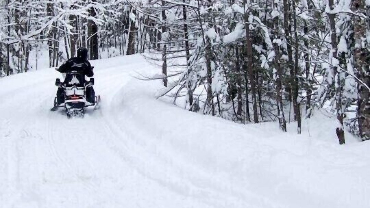 Photo of Others in Viroqua