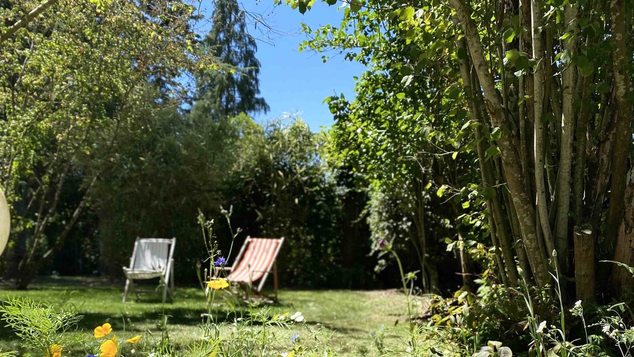 Photo of Outdoor in Chissay-en-Touraine