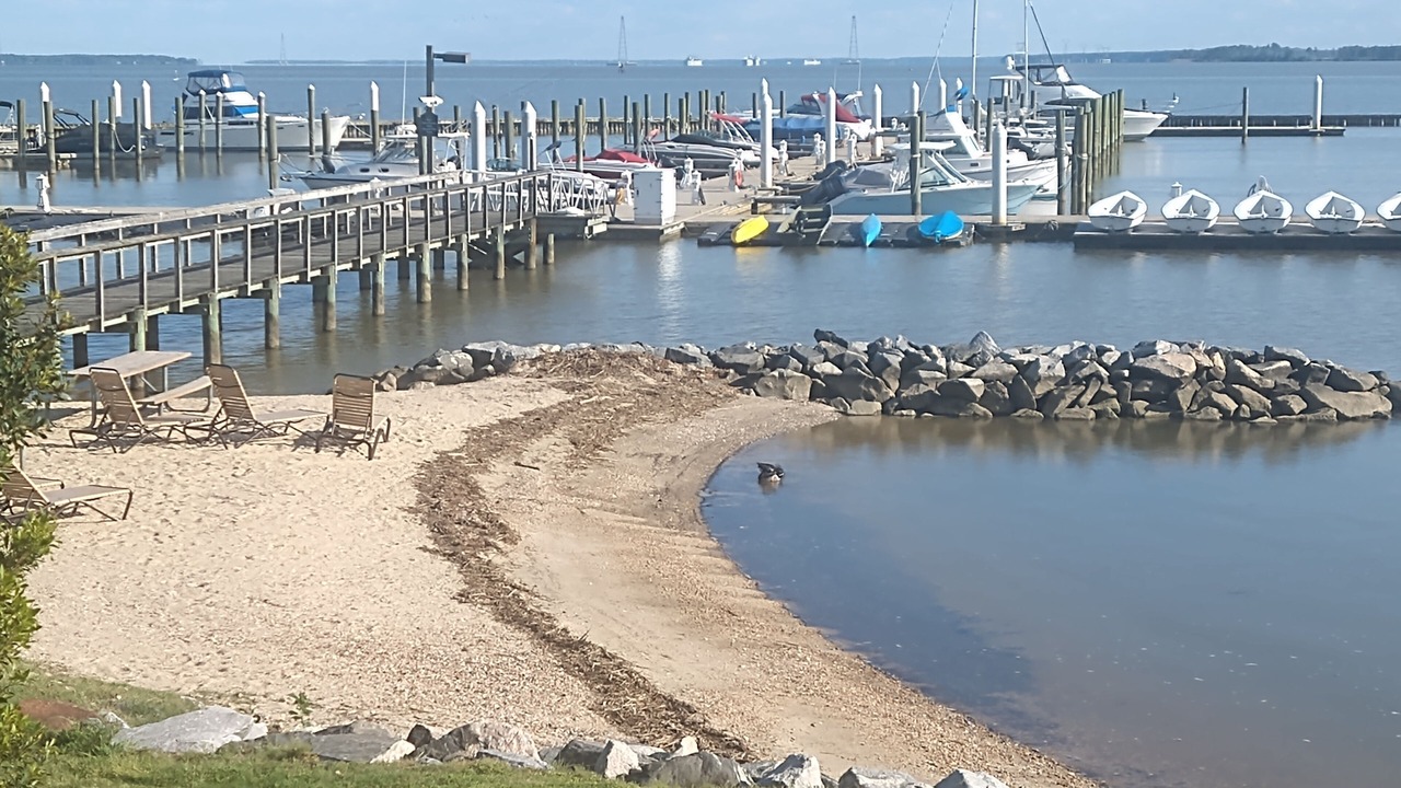 Photo of Others in Kingsmill