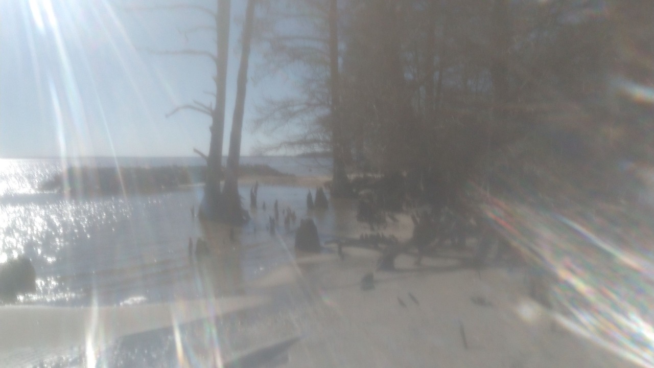 Photo of Others in Kingsmill