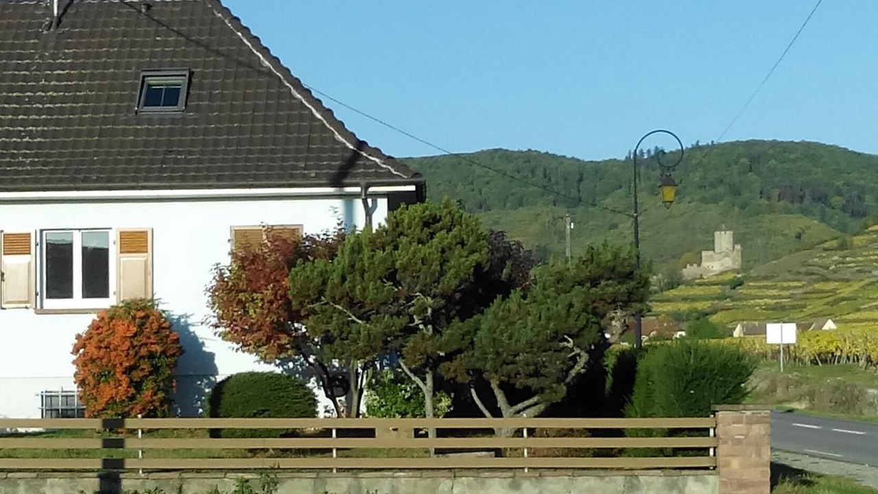 Photo of Outdoor in Kientzheim