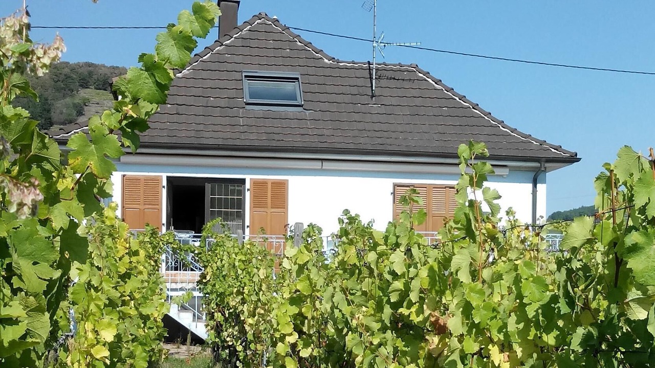 Photo of Outdoor in Kientzheim
