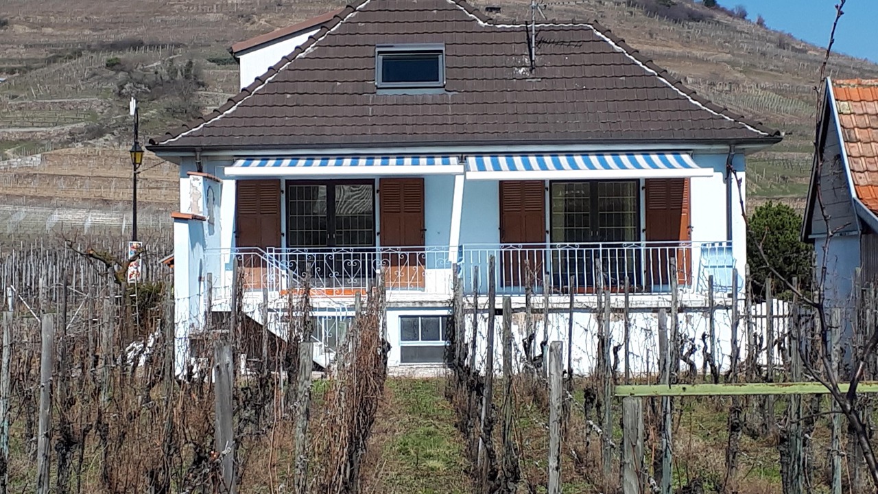 Photo of Outdoor in Kientzheim