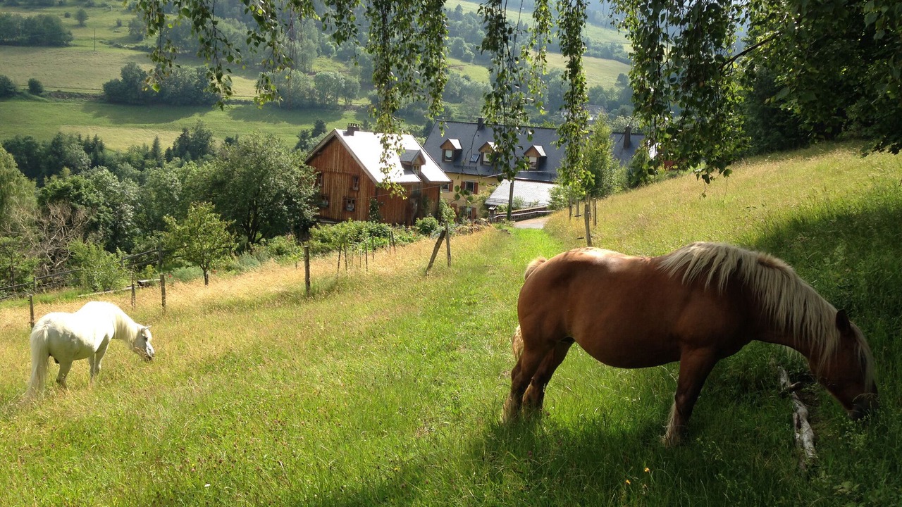 Photo of Outdoor in Orbey