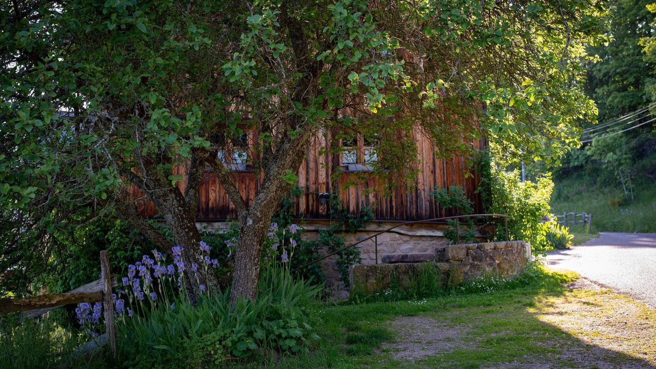 Photo of Outdoor in Orbey