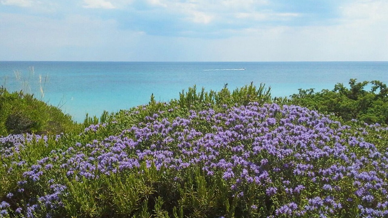 Photo of Outdoor in Torre Ovo