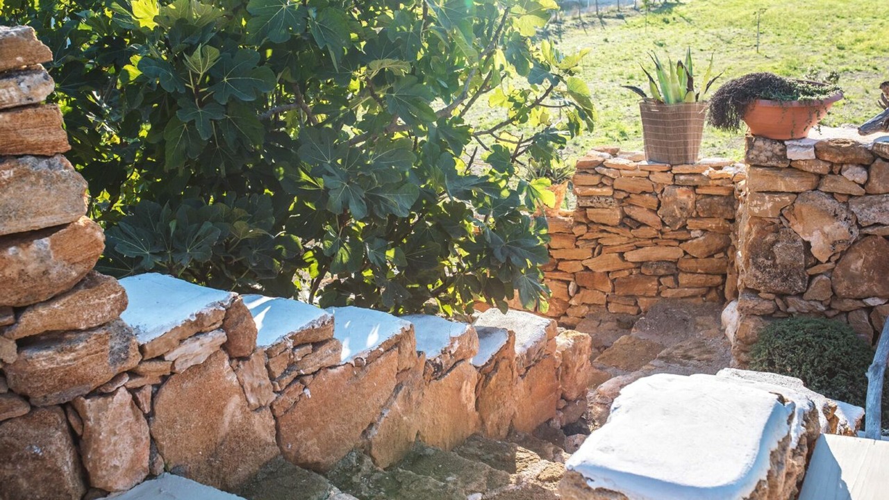 Photo of Outdoor in Torre Ovo