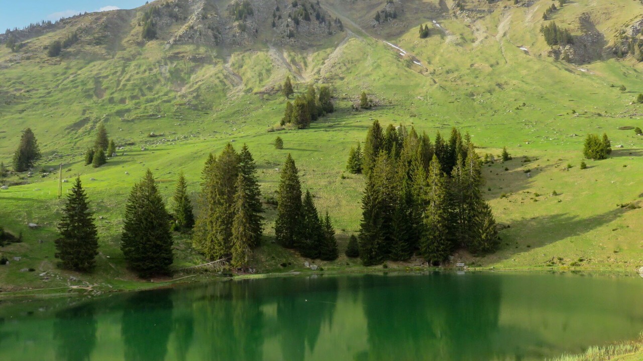 Photo of Others in Ormont-Dessus