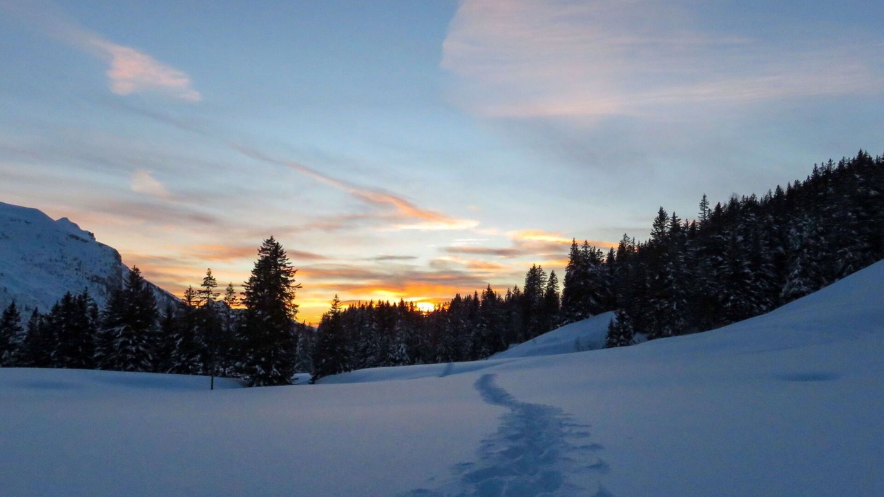 Photo of Others in Ormont-Dessus