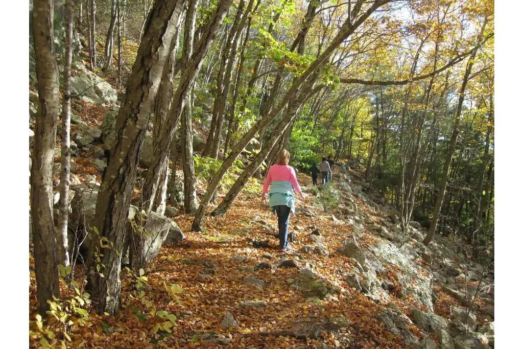 Photo of Others in Ledyard