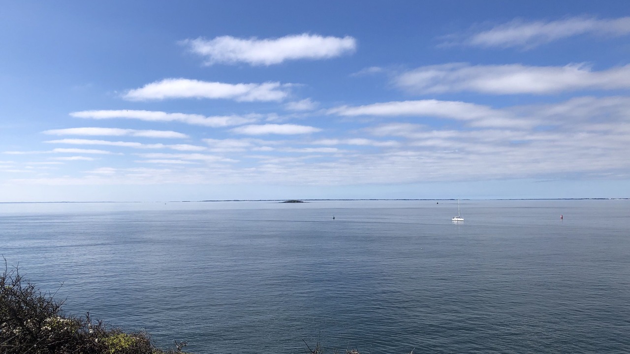 Photo of Others in Arzon