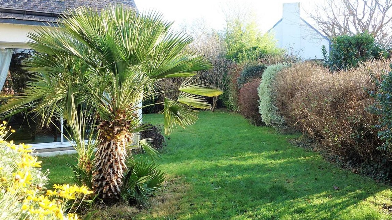 Photo of Outdoor in Perros-Guirec