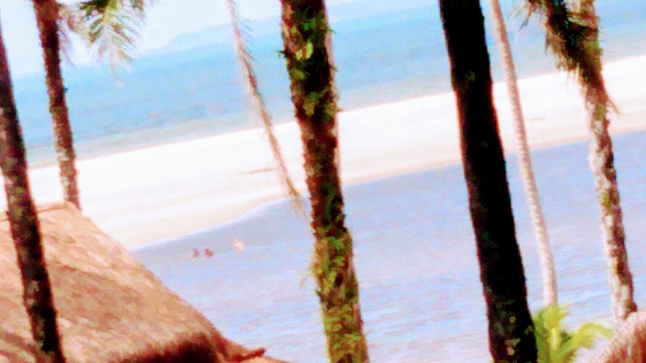 Photo of Others in Jaguaripe