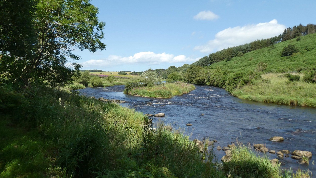 Photo of Others in Aberchirder