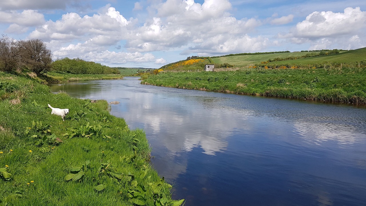 Photo of Others in Aberchirder