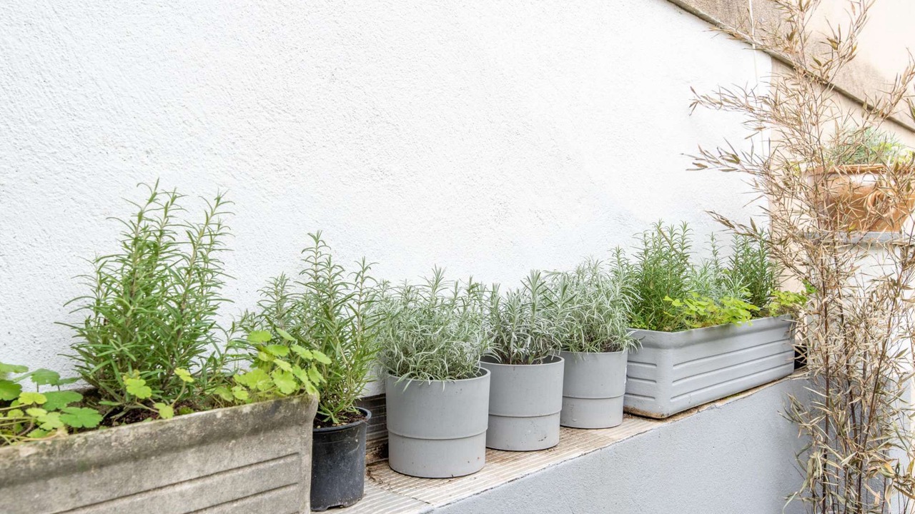 Photo of Outdoor in 4th Arrondissement
