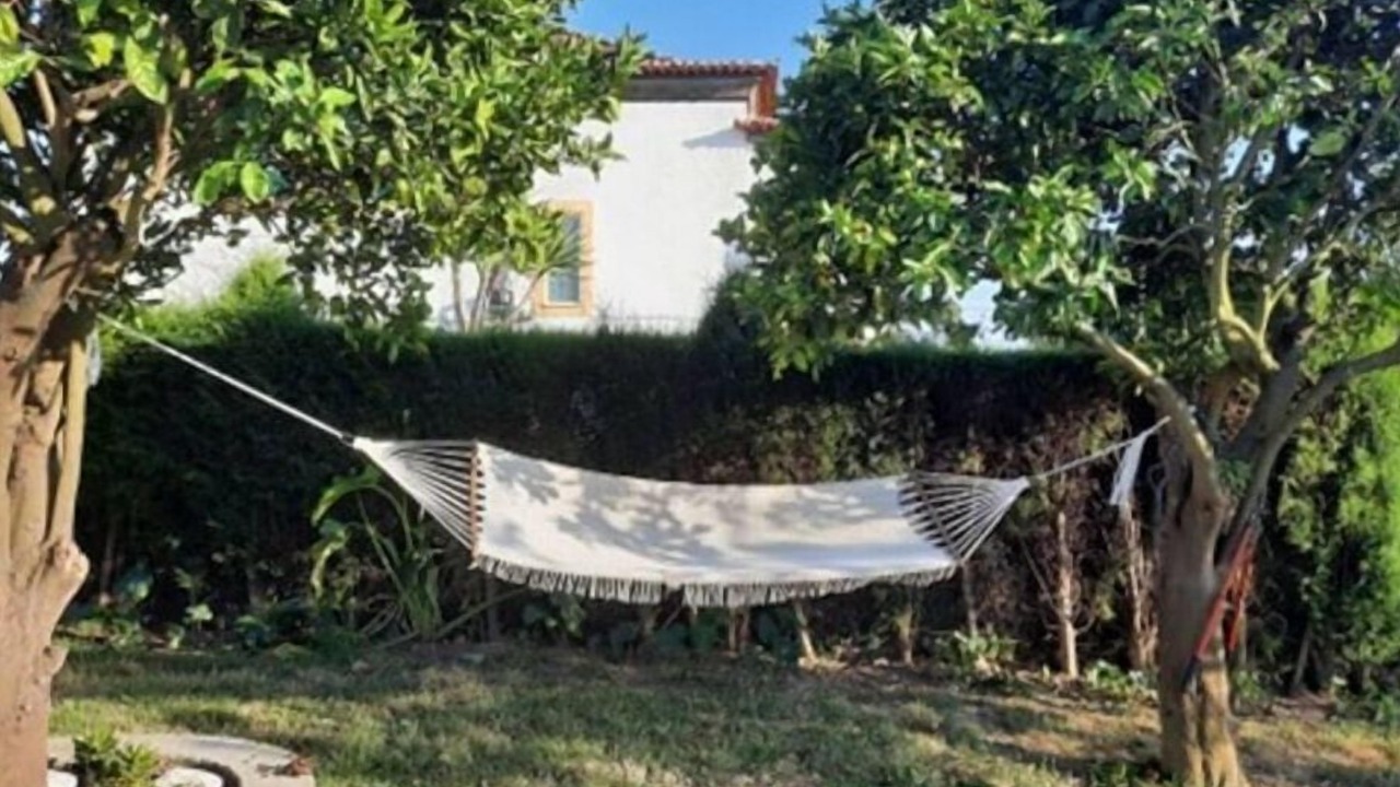 Photo of Outdoor in Oliveira do Bairro