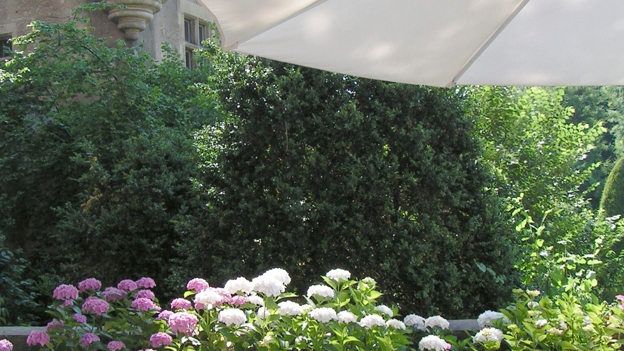 Photo of Outdoor in Vieux Vichy