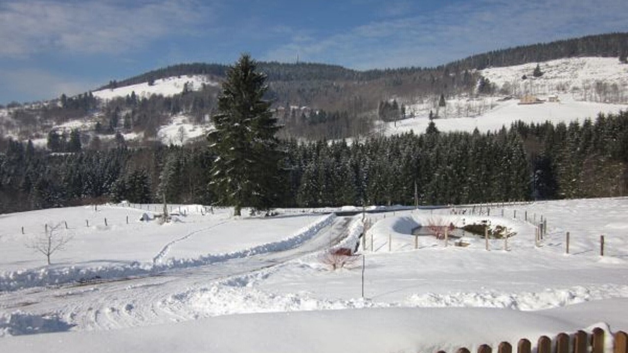 Photo of Others in Saulxures-sur-Moselotte