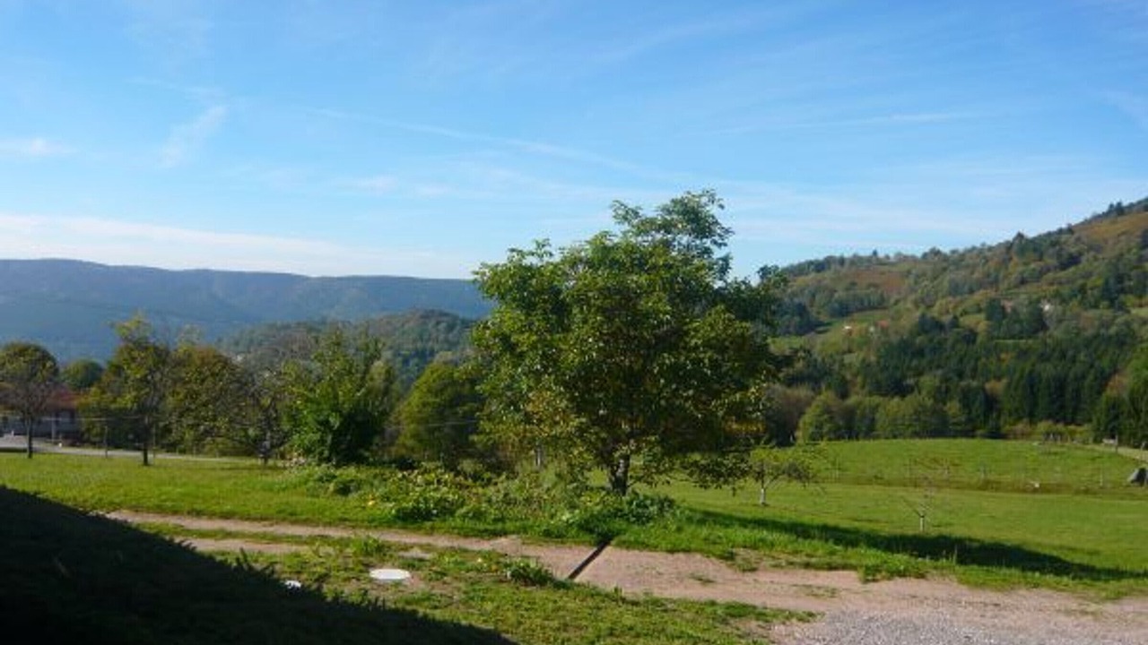 Photo of Outdoor in Saulxures-sur-Moselotte