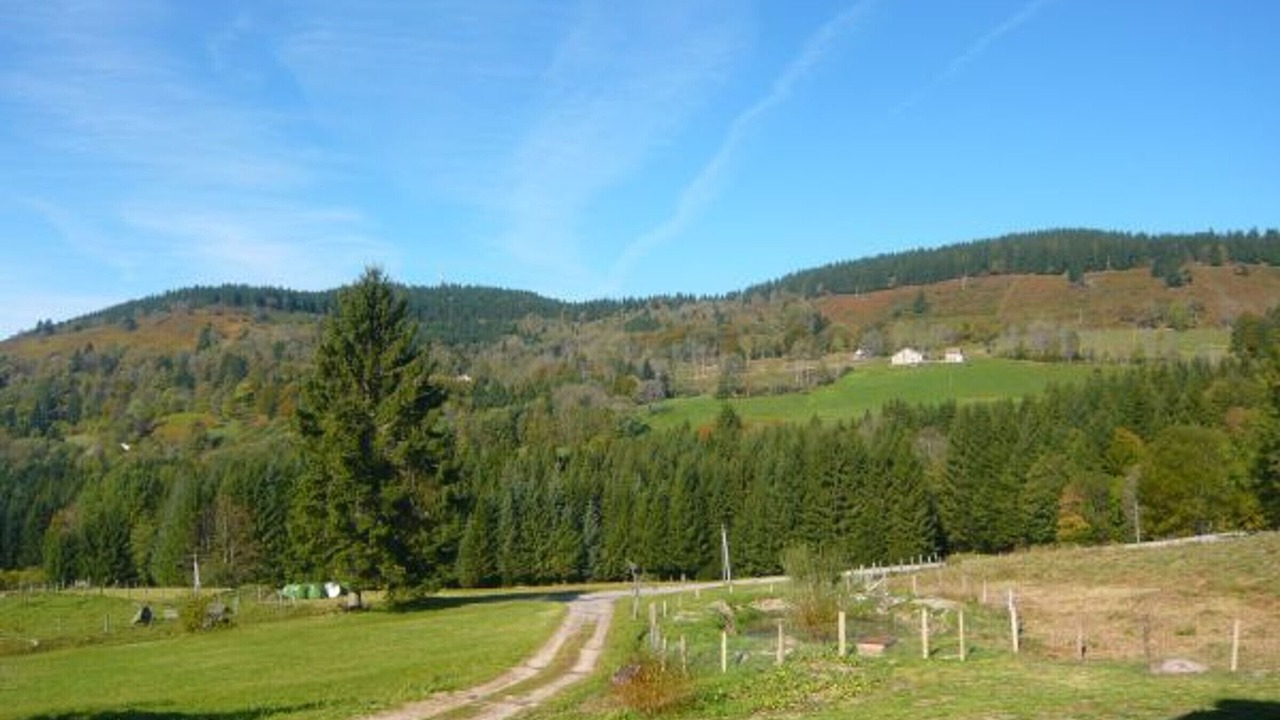 Photo of Others in Saulxures-sur-Moselotte