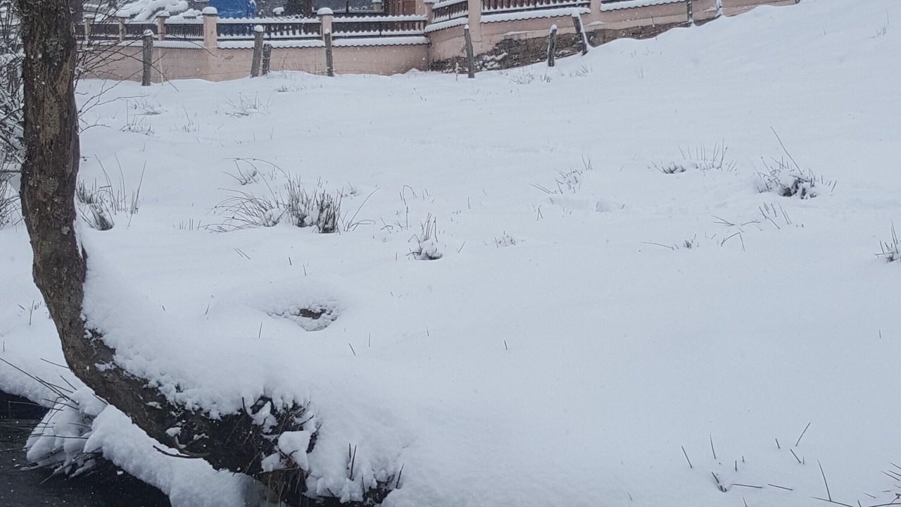 Photo of Outdoor in Vienville