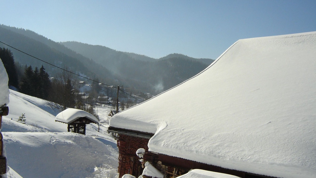 Photo of Others in La Bresse