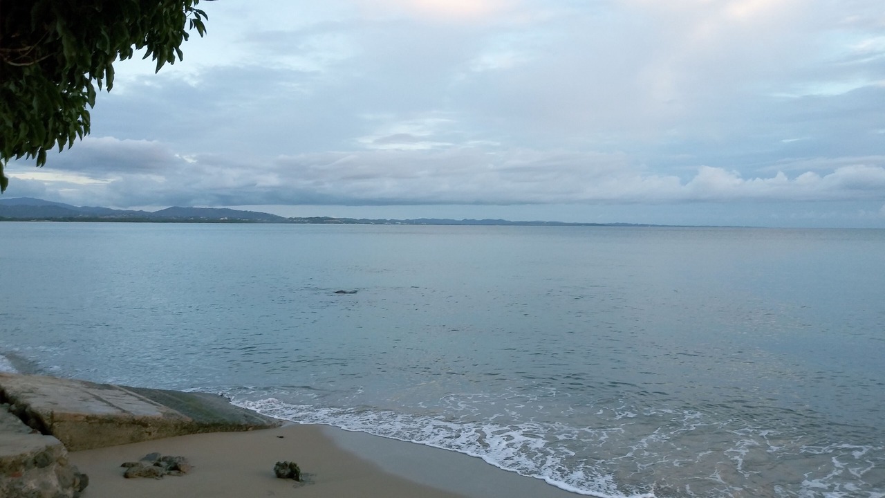 Photo of Others in Caguabo