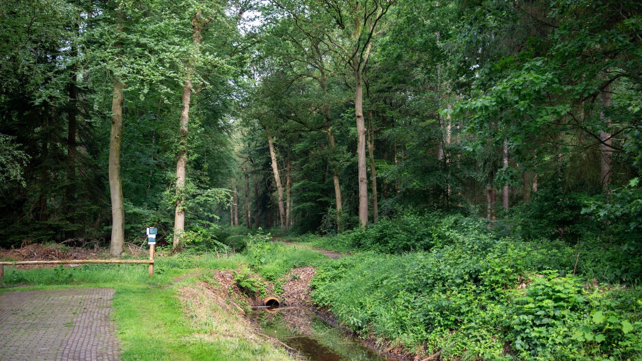 Photo of Outdoor in Municipality of Dalfsen