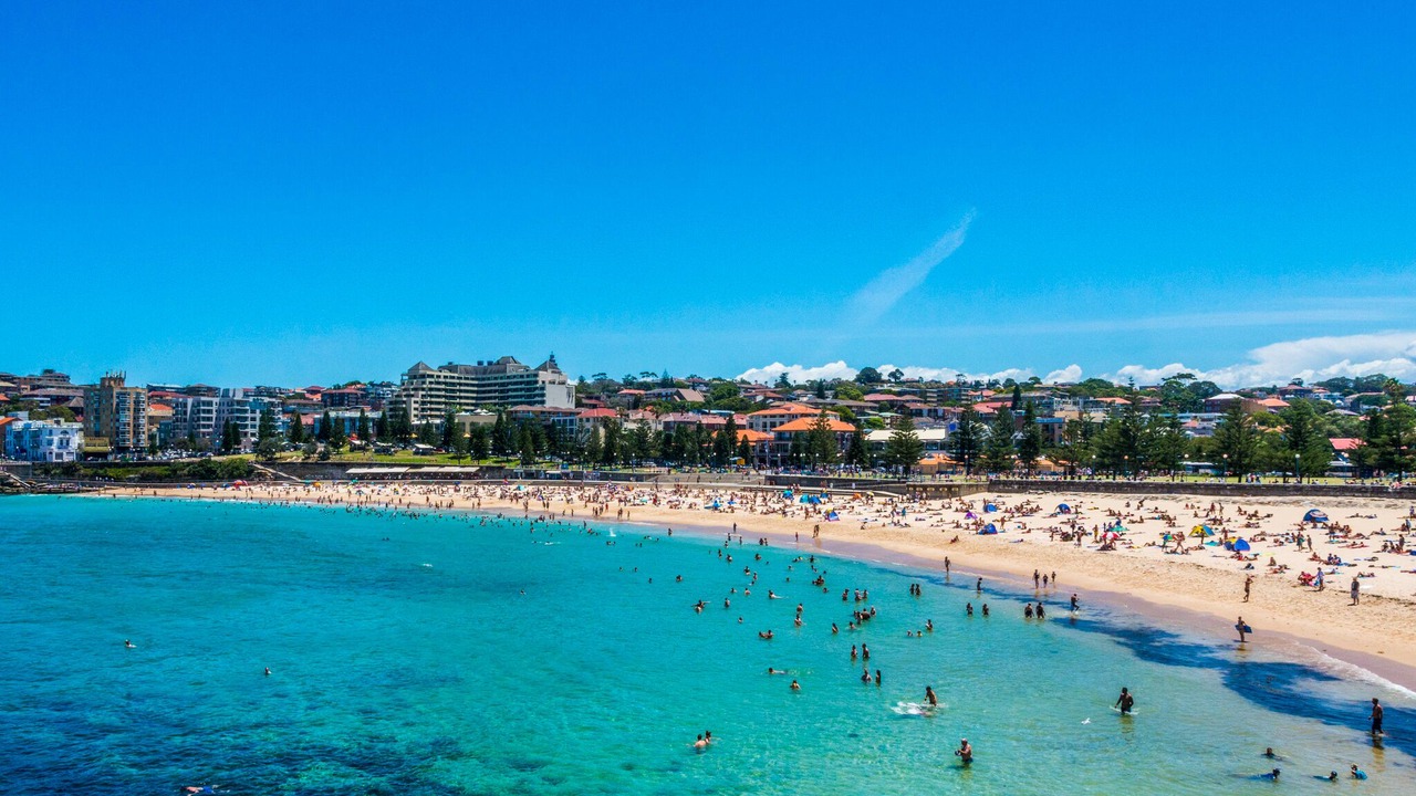 Photo of Others in Coogee