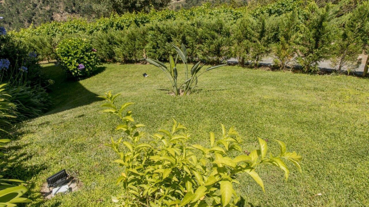 Photo of Outdoor in Resende