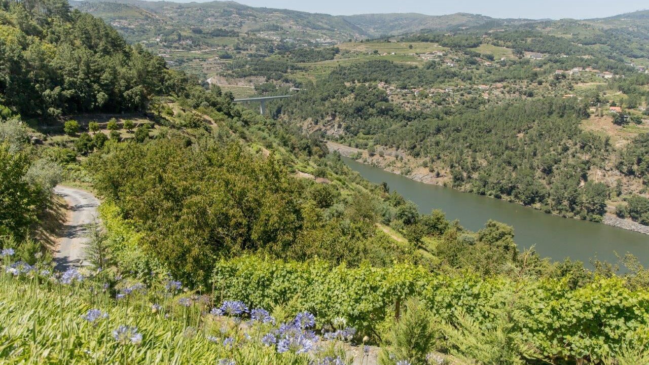 Photo of Outdoor in Resende