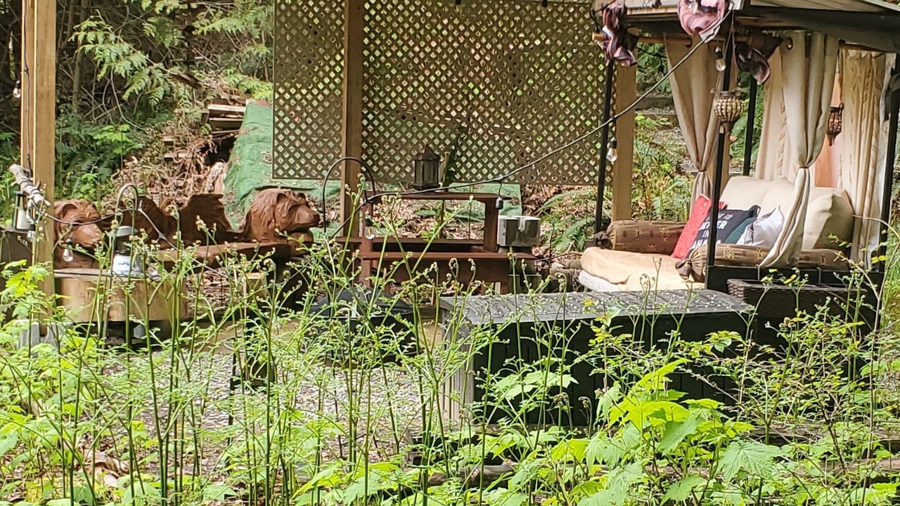 Photo of Outdoor in Laidlaw