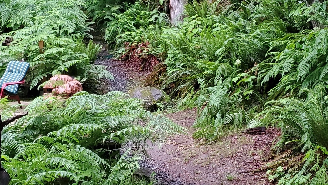 Photo of Outdoor in Laidlaw