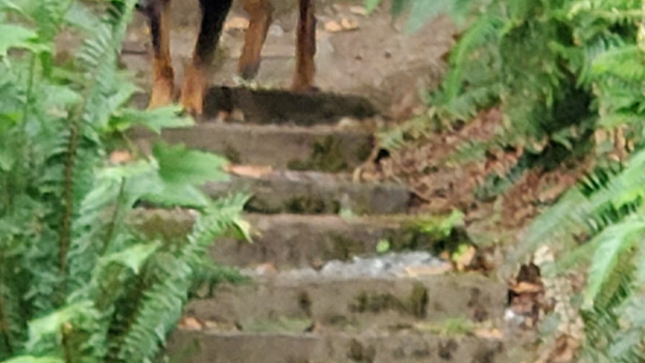 Photo of Outdoor in Laidlaw