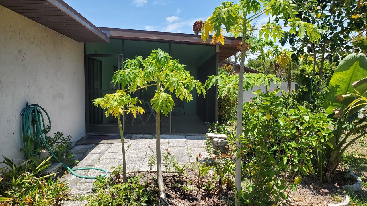 Photo of Outdoor in Bayou Oaks