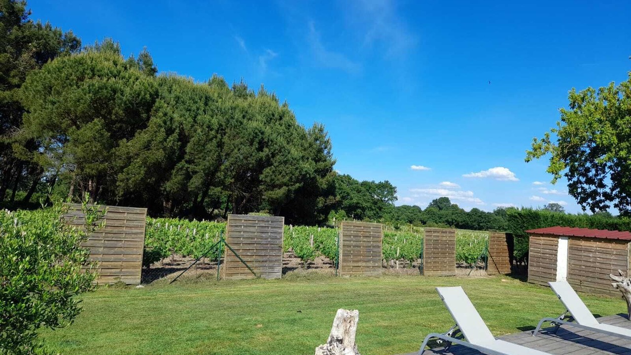 Photo of Outdoor in Gaillan-en-Medoc