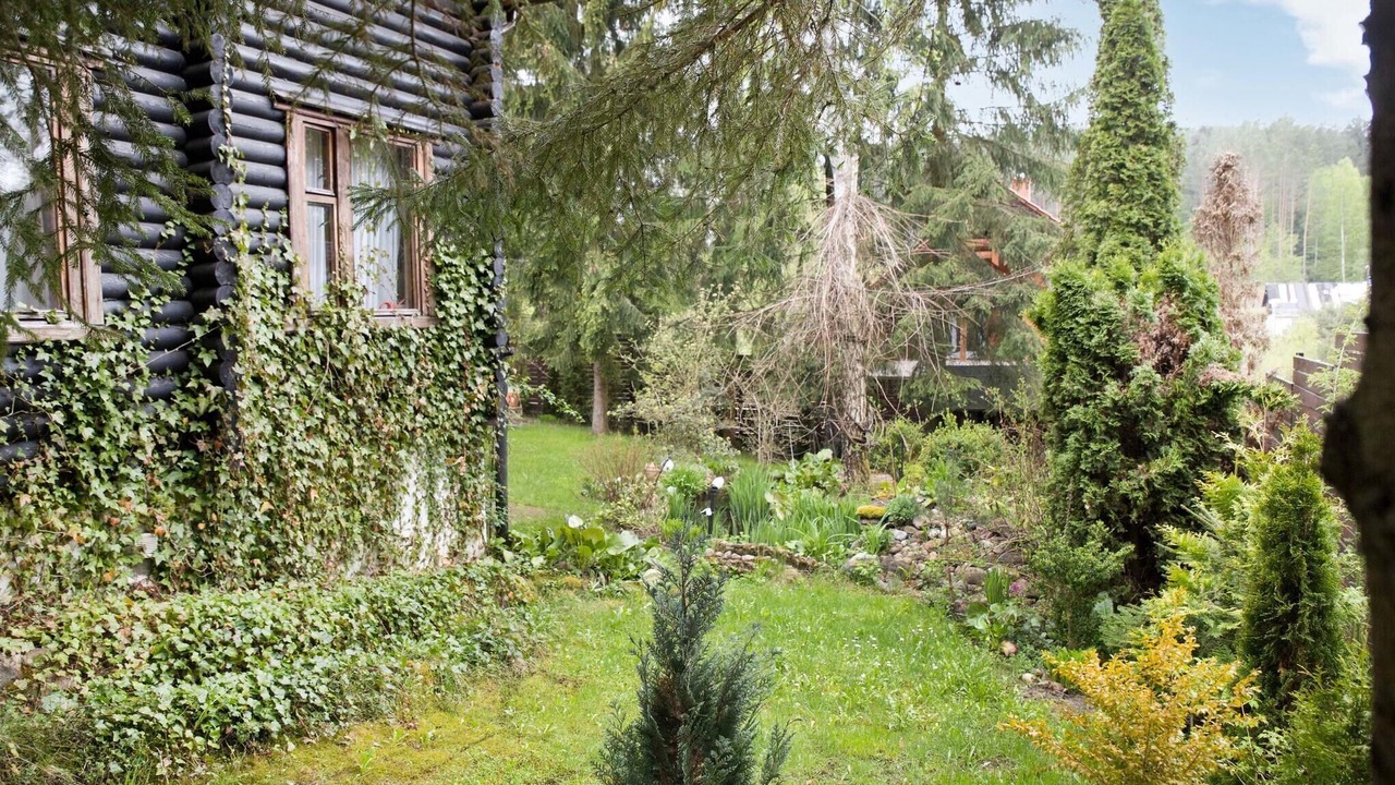 Photo of Others in Gietrzwald