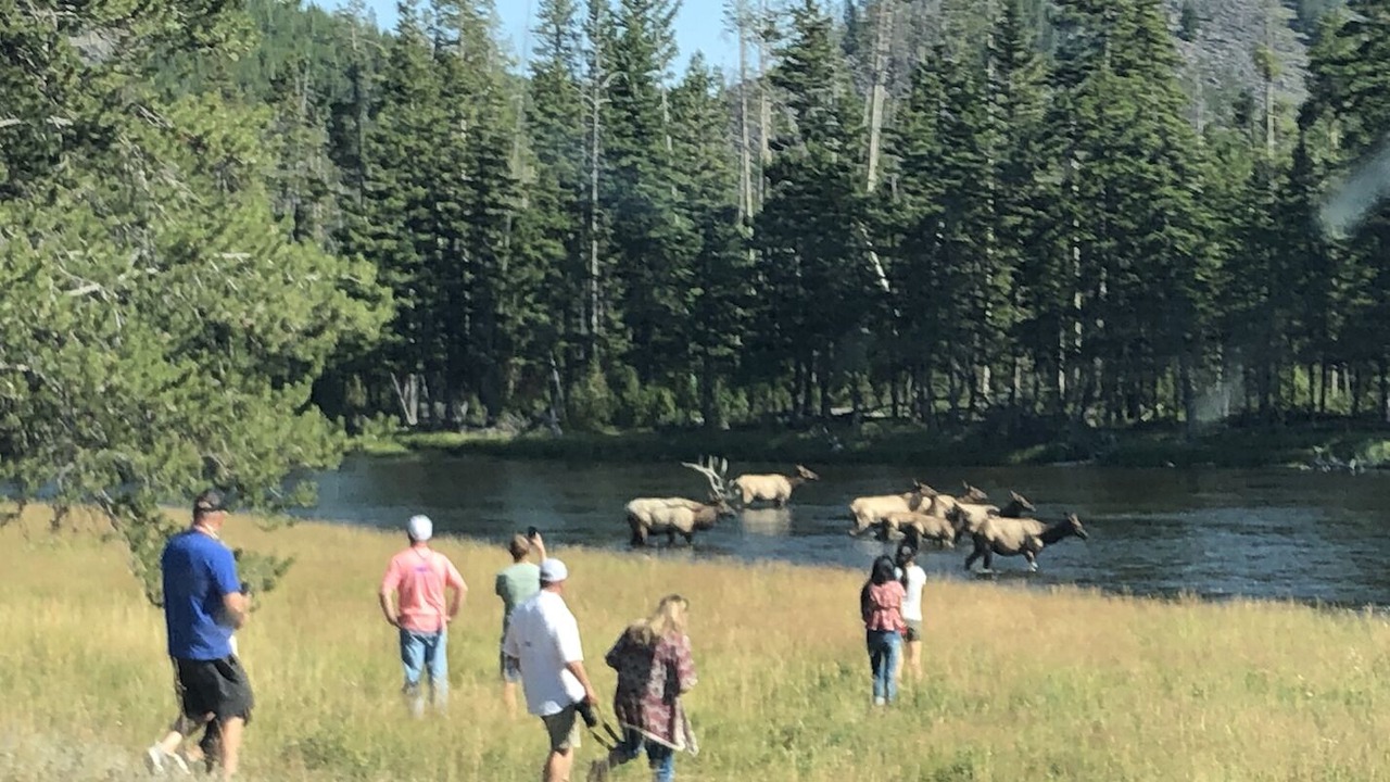 Photo of Others in Silver Gate