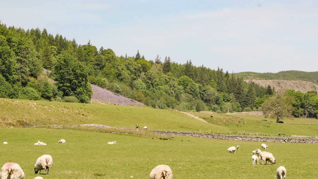 Photo of Others in Lochgilphead