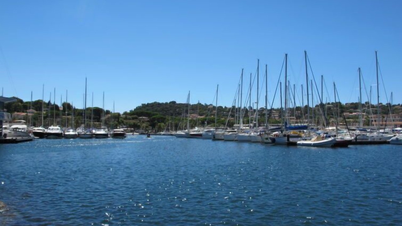 Photo of Others in Cavaliere