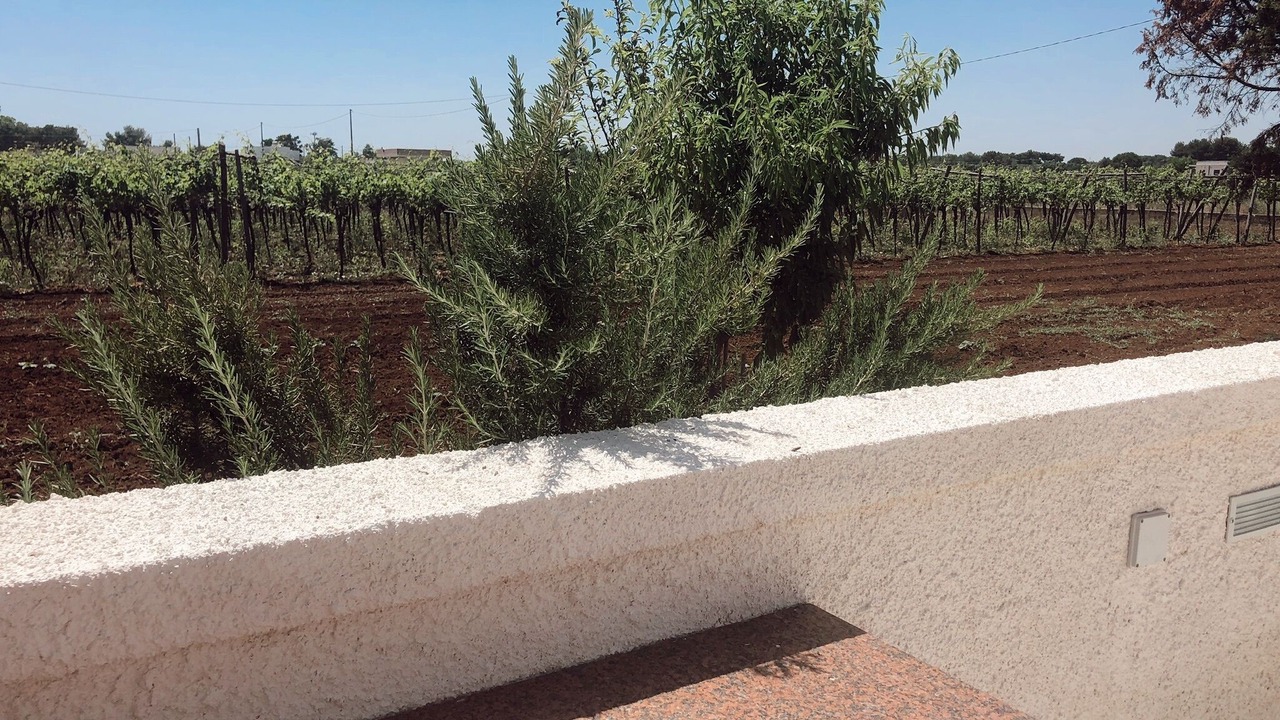 Photo of Outdoor in San Pietro in Bevagna