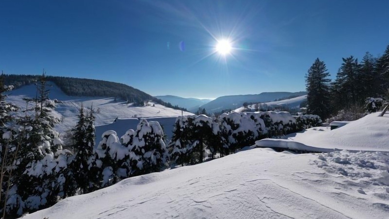 Photo of Others in Todtnauberg
