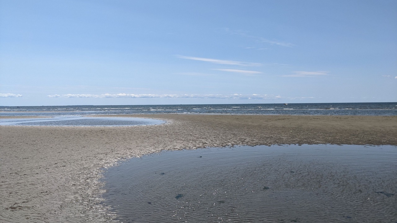 Photo of Others in Saybrook Manor