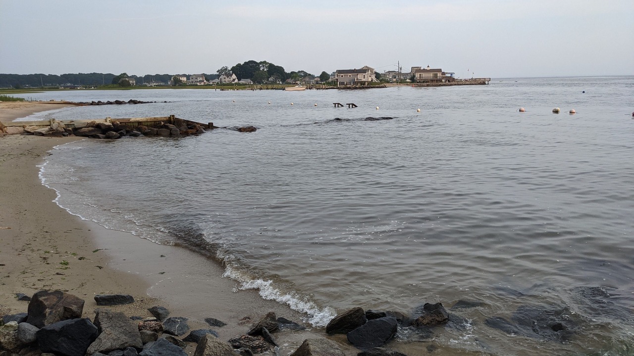Photo of Others in Saybrook Manor