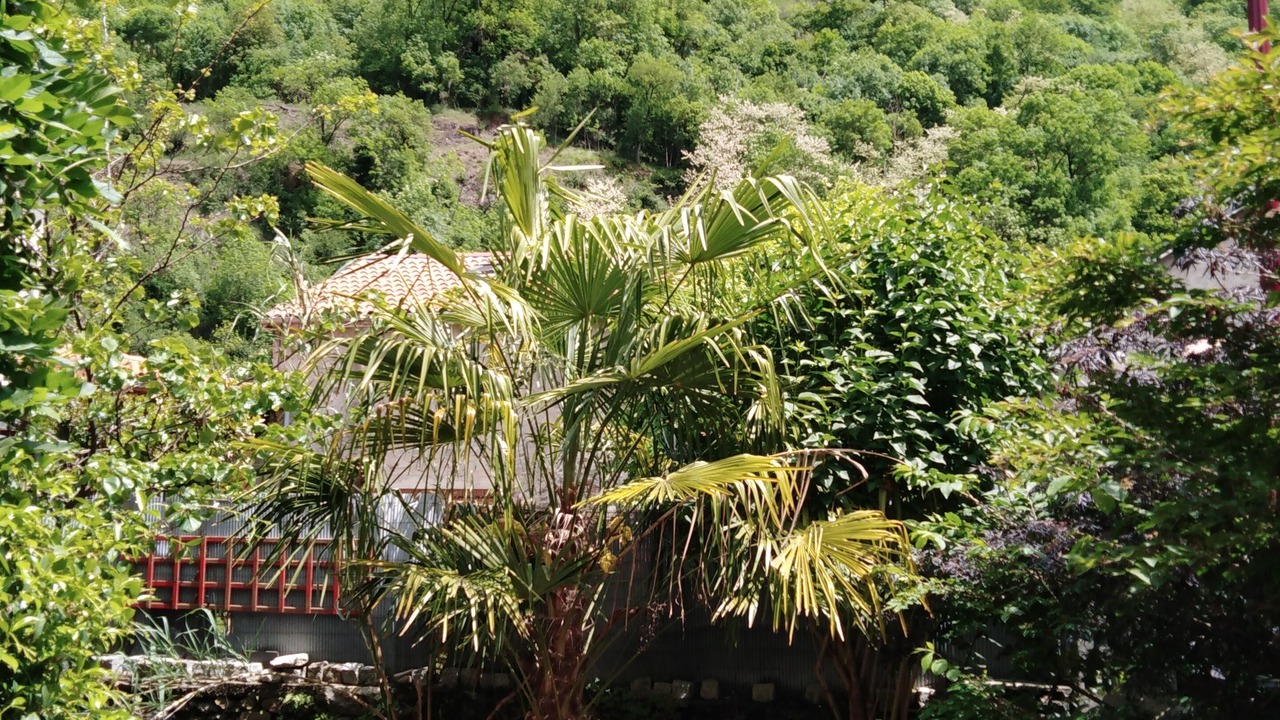 Photo of Outdoor in Chaum