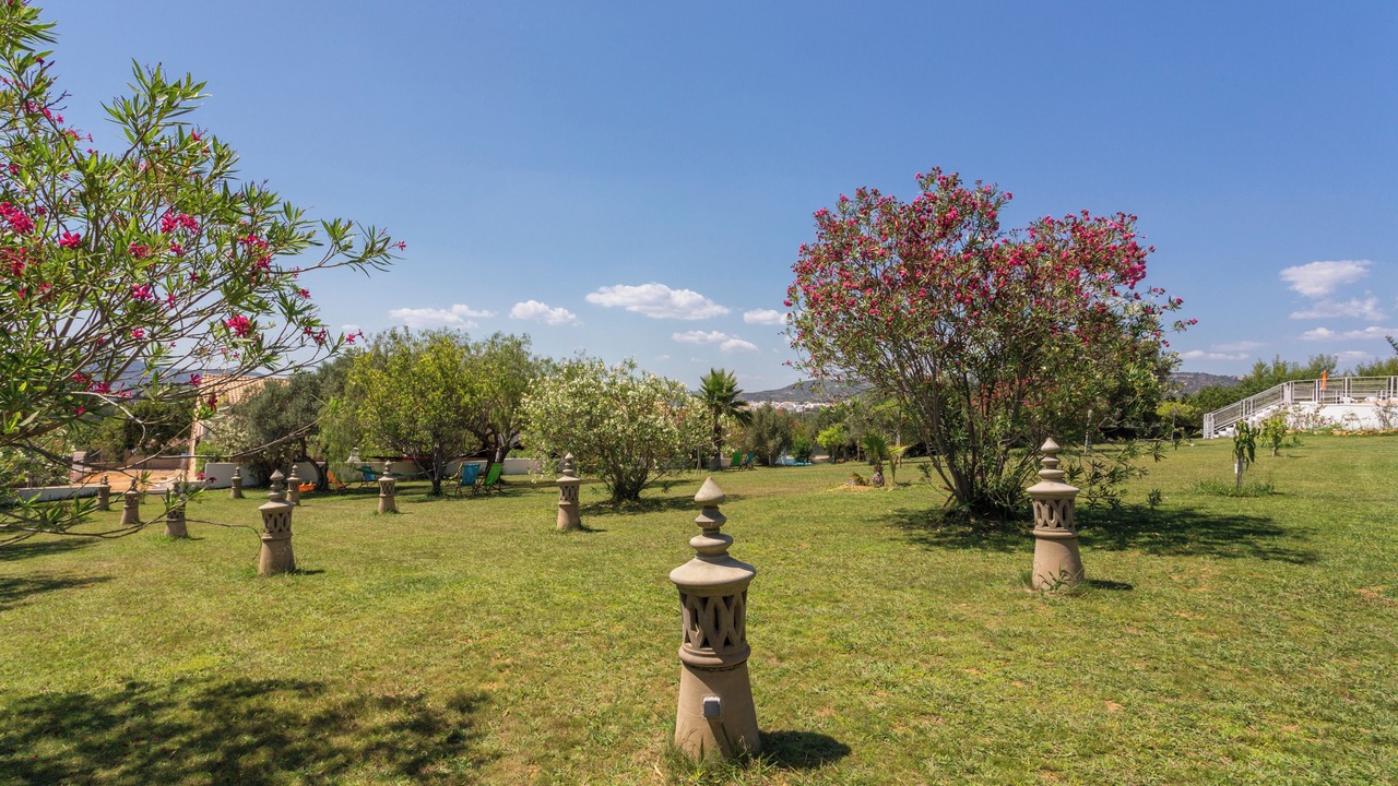 Photo of Outdoor in Estoi