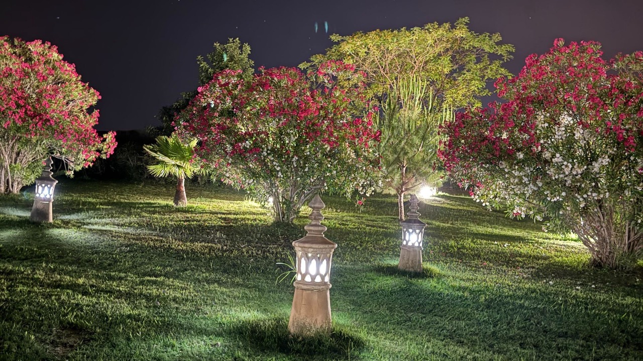 Photo of Outdoor in Estoi